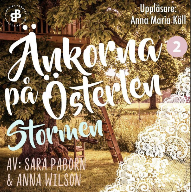 Änkorna på Österlen. Stormen book cover