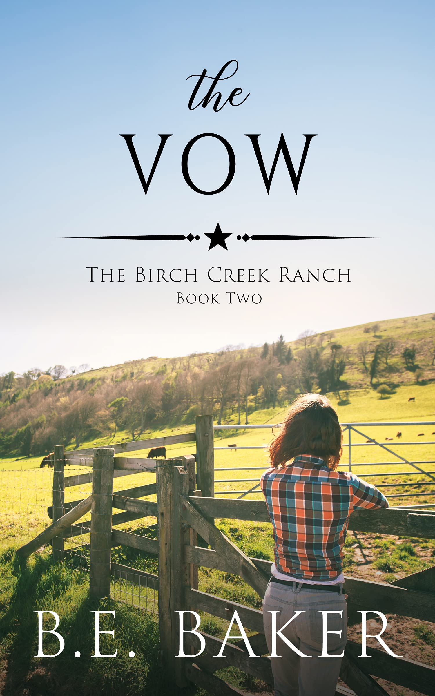 The Birch Creek Ranch book cover 2