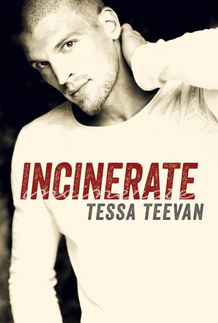 Explosive book cover 2