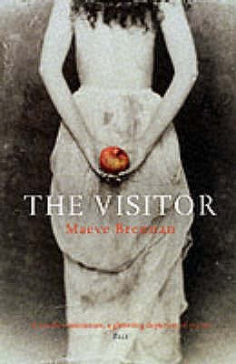 The Visitor book cover
