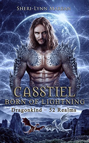 Dragon Hunter Brotherhood book cover 2