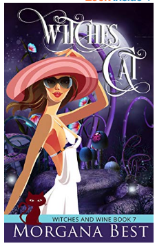 Witches' Cat book cover