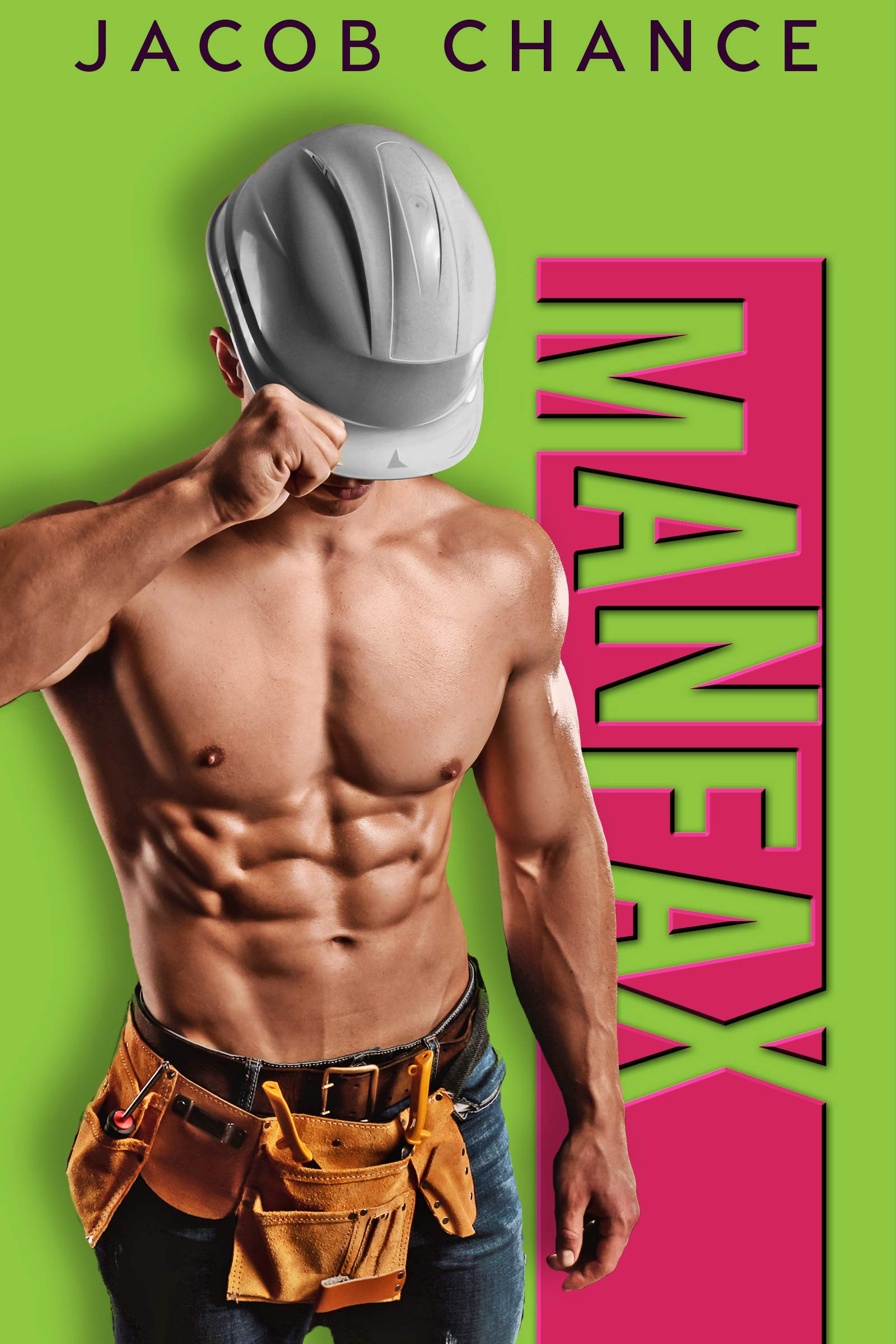 Winter Brothers book cover 2