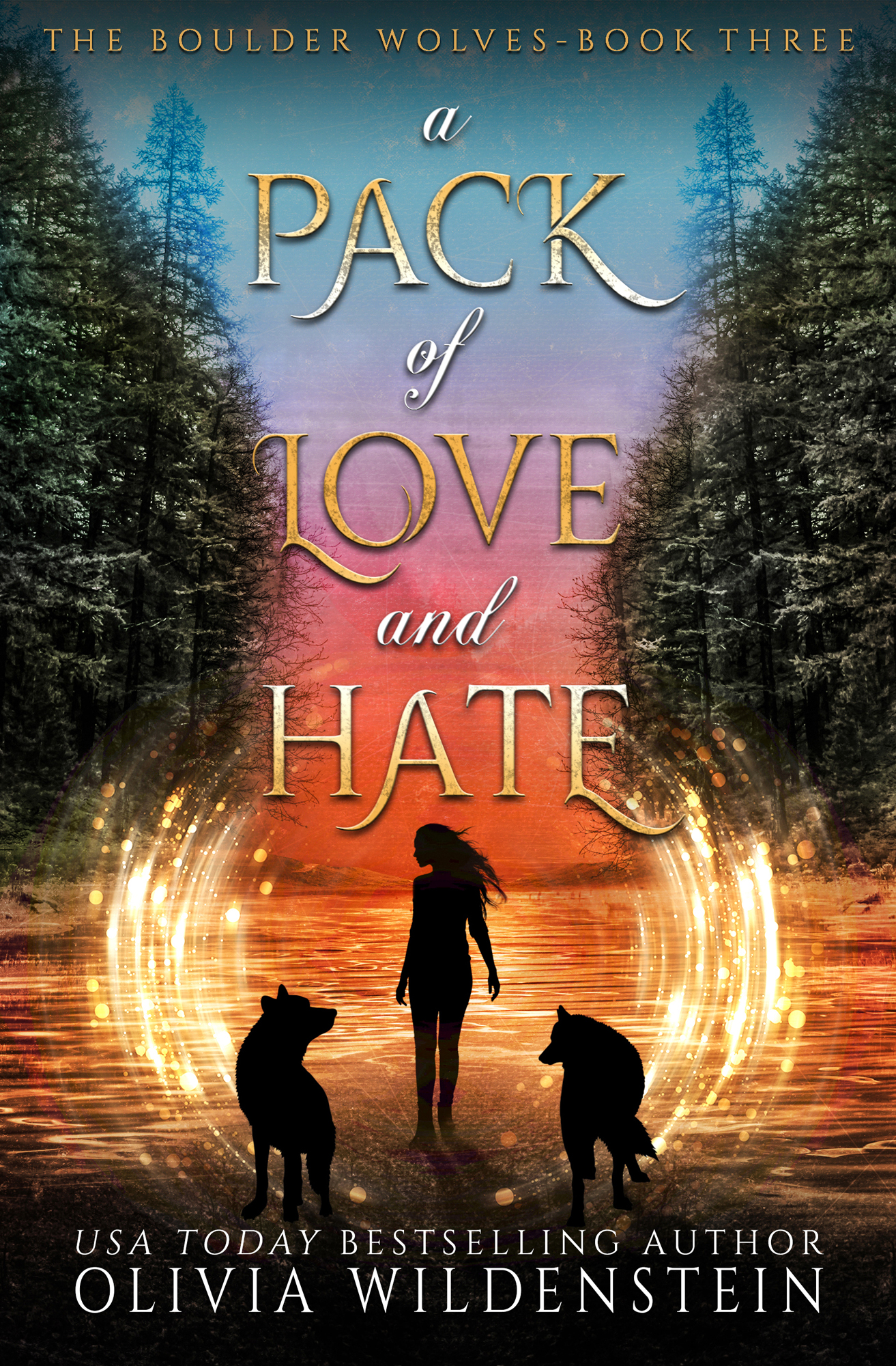 The Boulder Wolves book cover 3