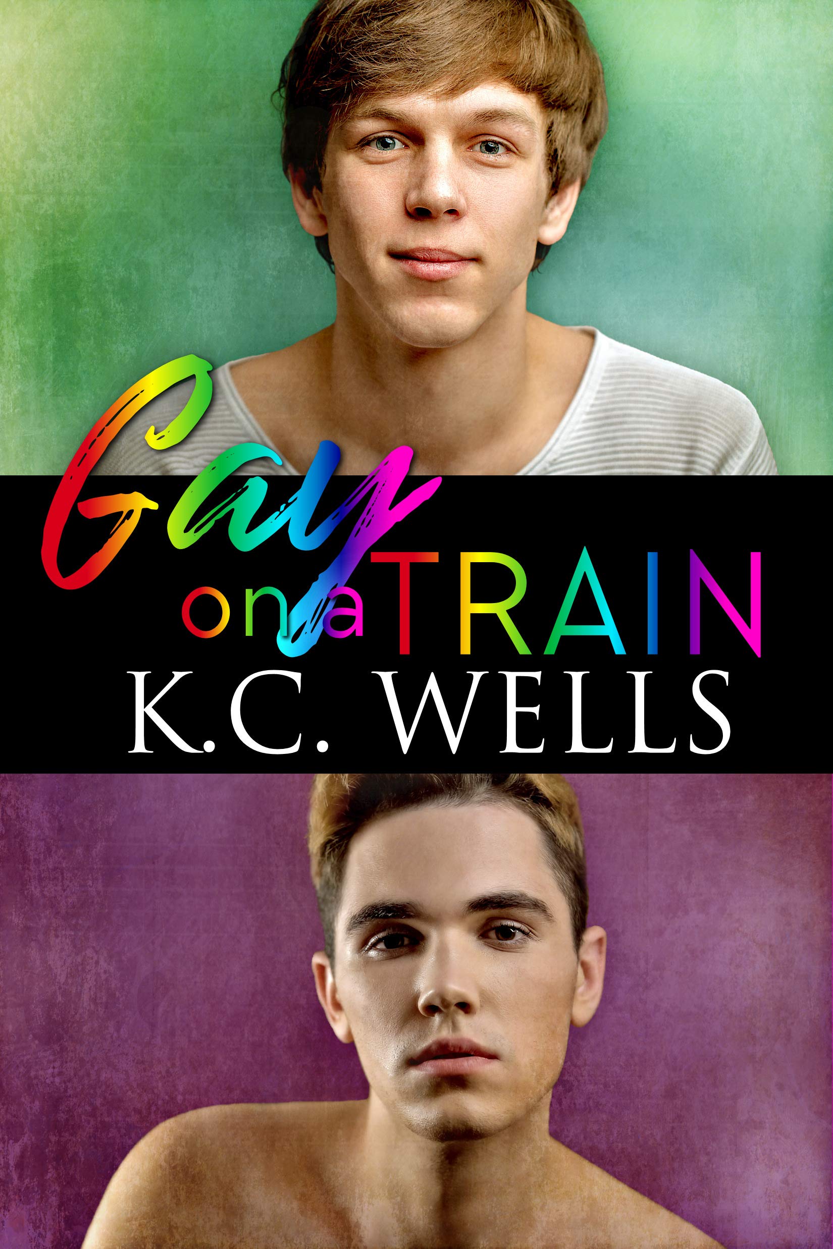Gay on a Train book cover