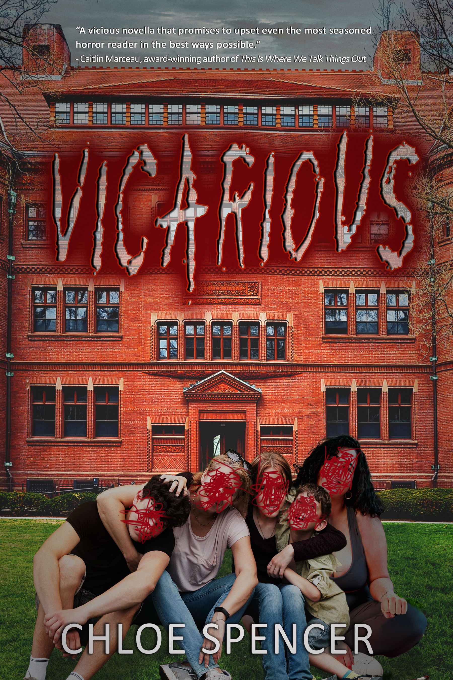 Vicarious book cover