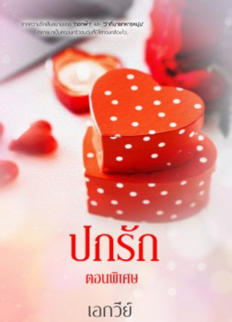 ปกรัก ตอนพิเศษ book cover