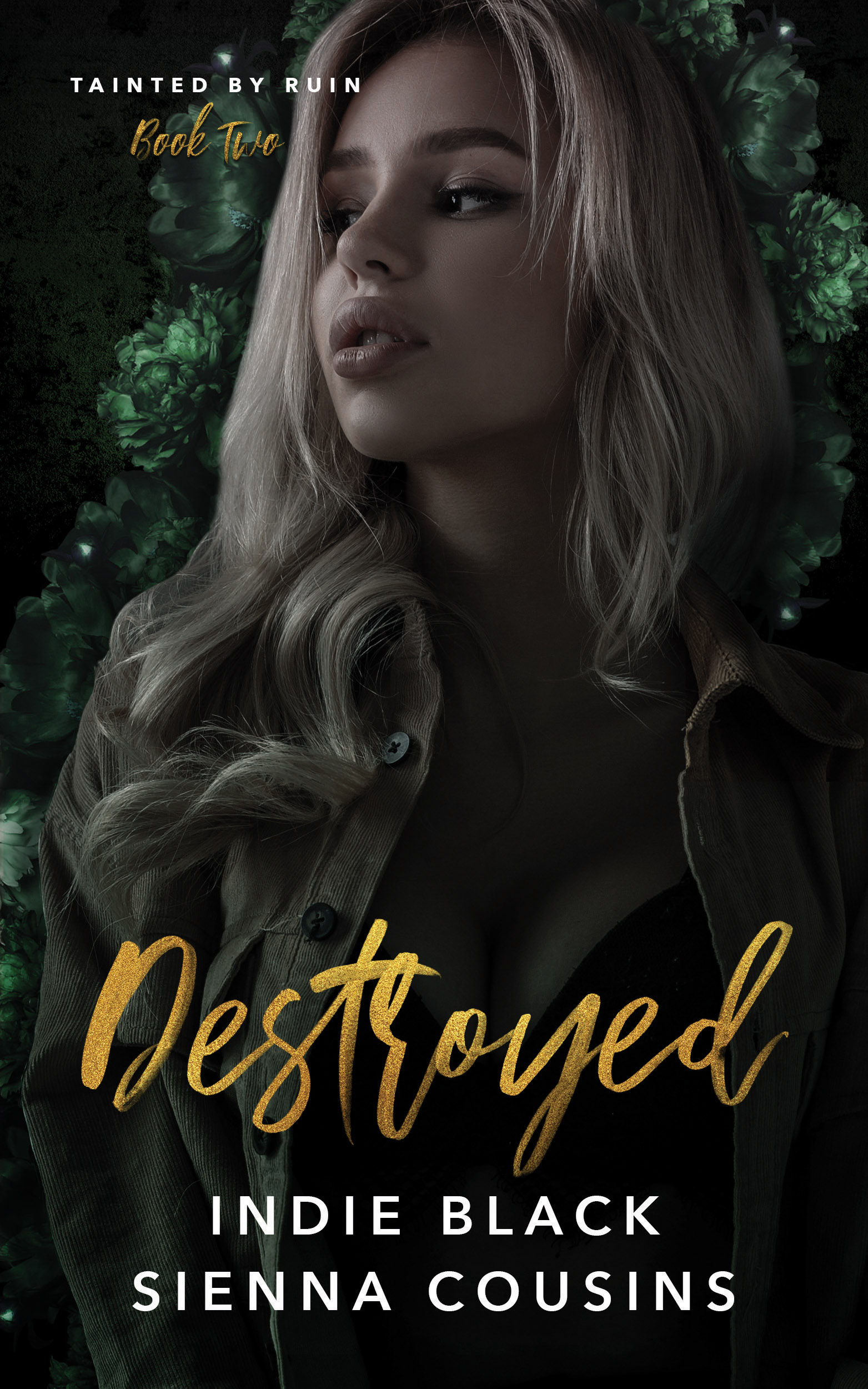 Tainted by Ruin book cover 2