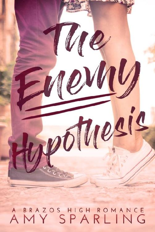 Brazos High Romance book cover 2