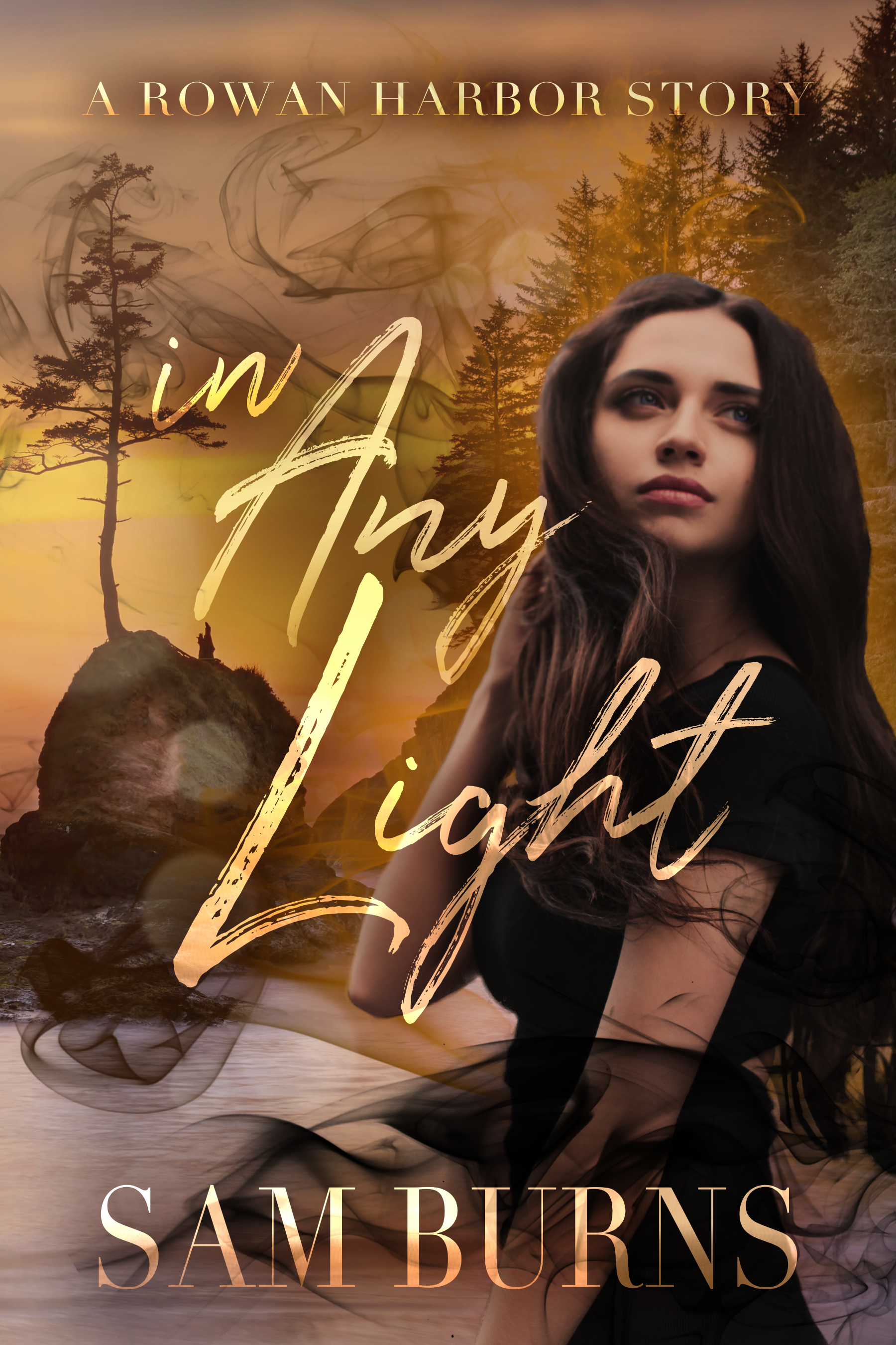 In Any Light book cover