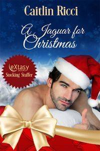 A Jaguar for Christmas book cover