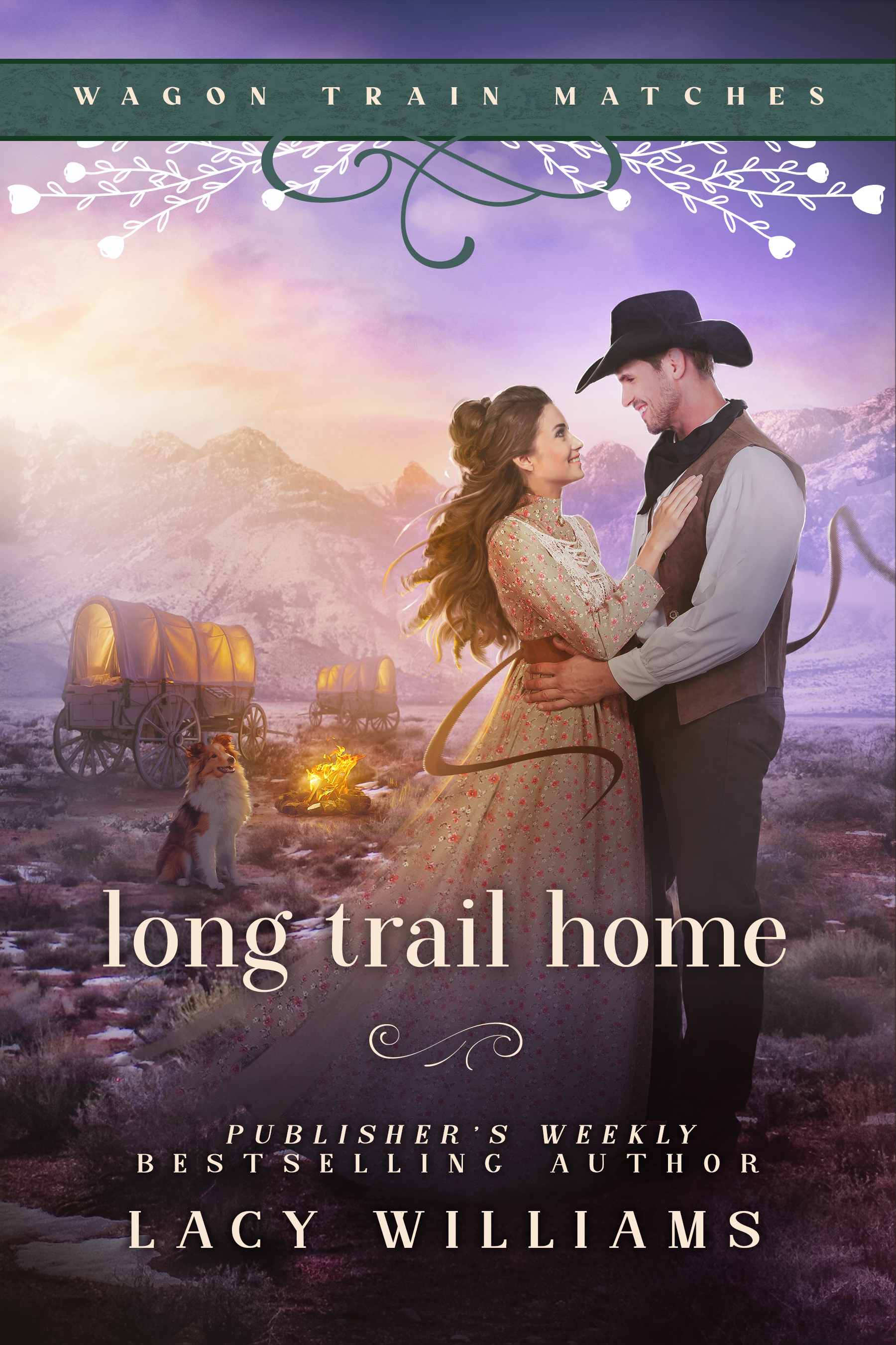Long Trail Home book cover