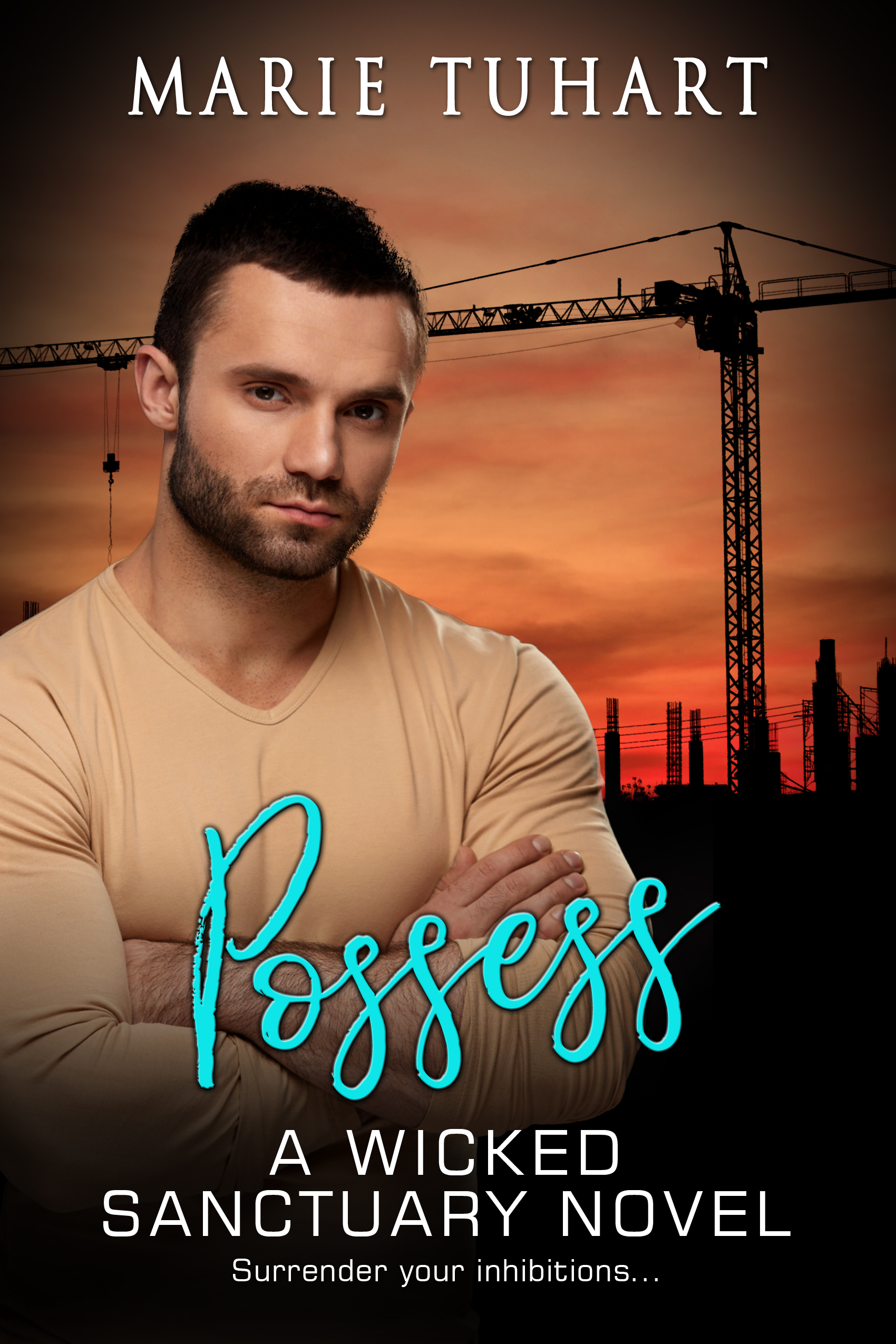 Possess book cover