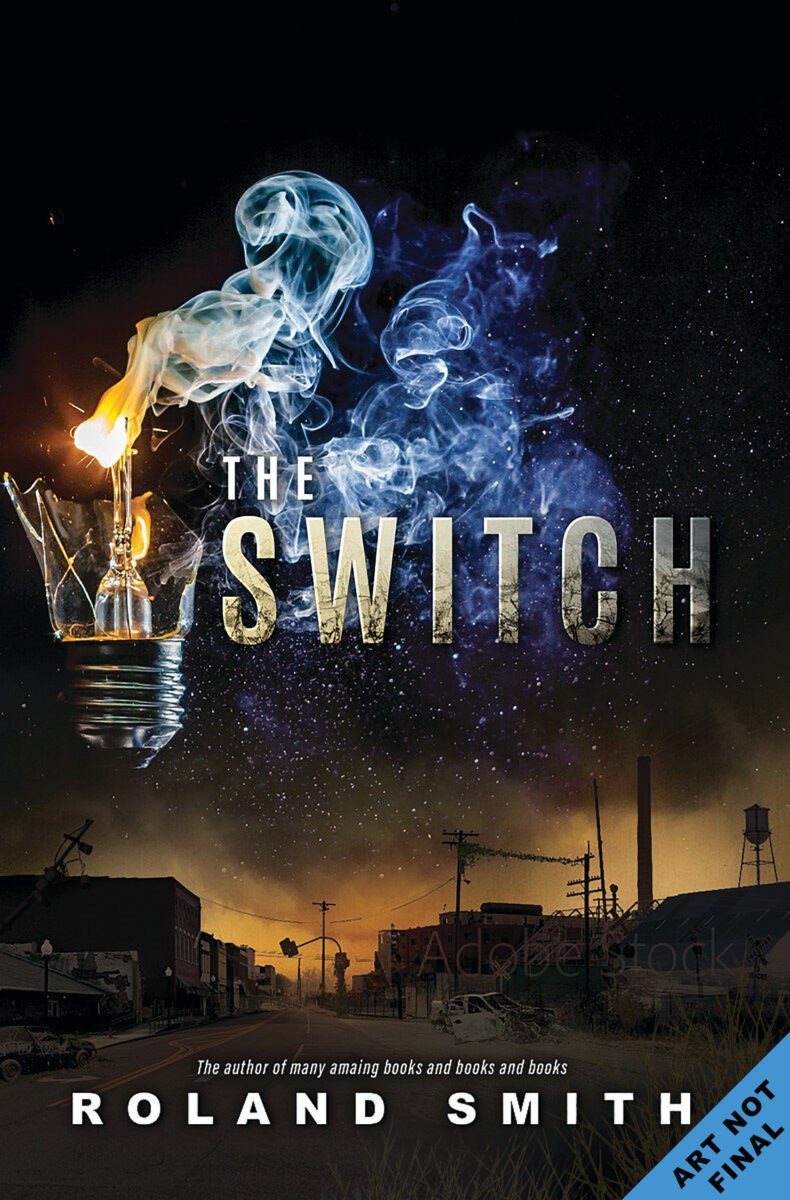 The Switch book cover
