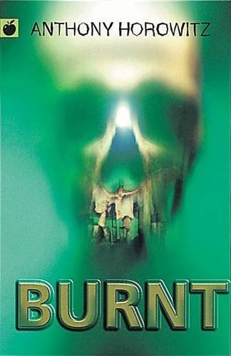 Burnt book cover