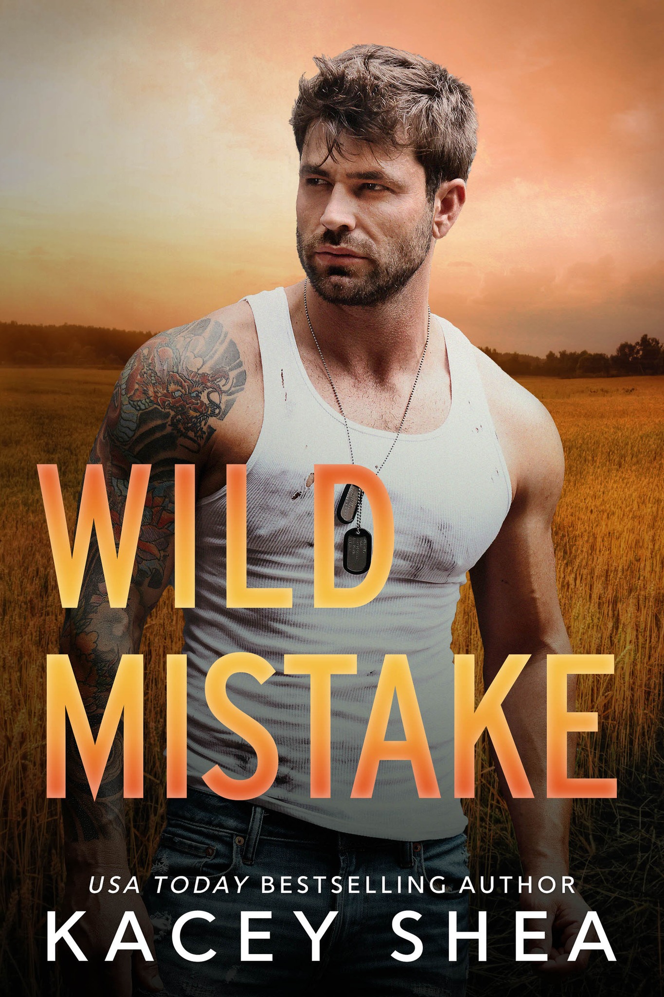 Wilder Valley book cover 2