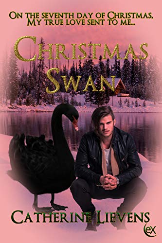 Seven Brothers book cover 1