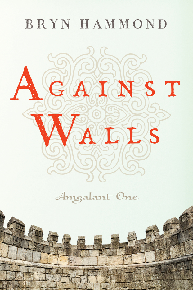 Amgalant book cover 1