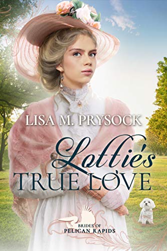 Brides of Pelican Rapids book cover 1