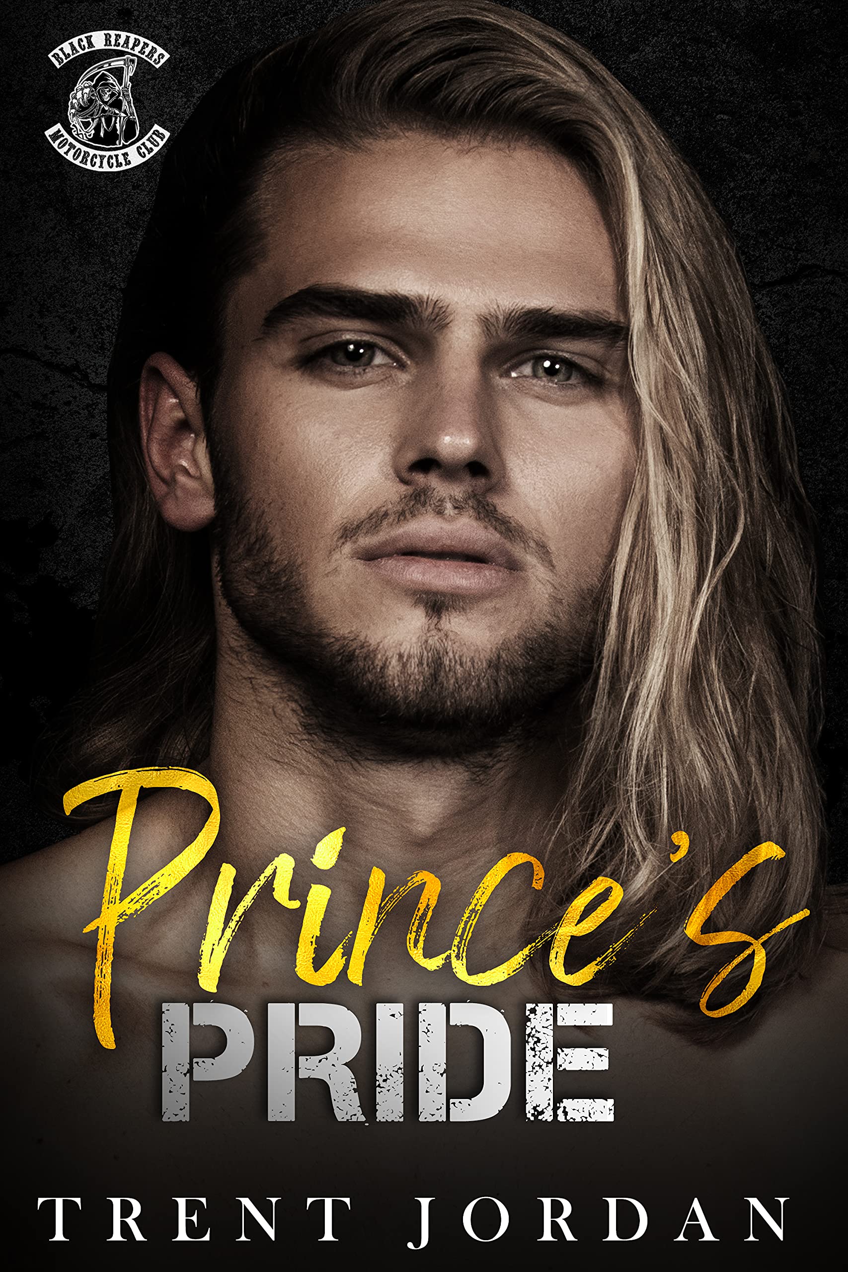 Prince's Pride book cover