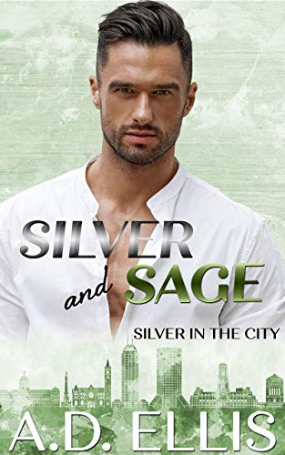 Silver in the City book cover 1