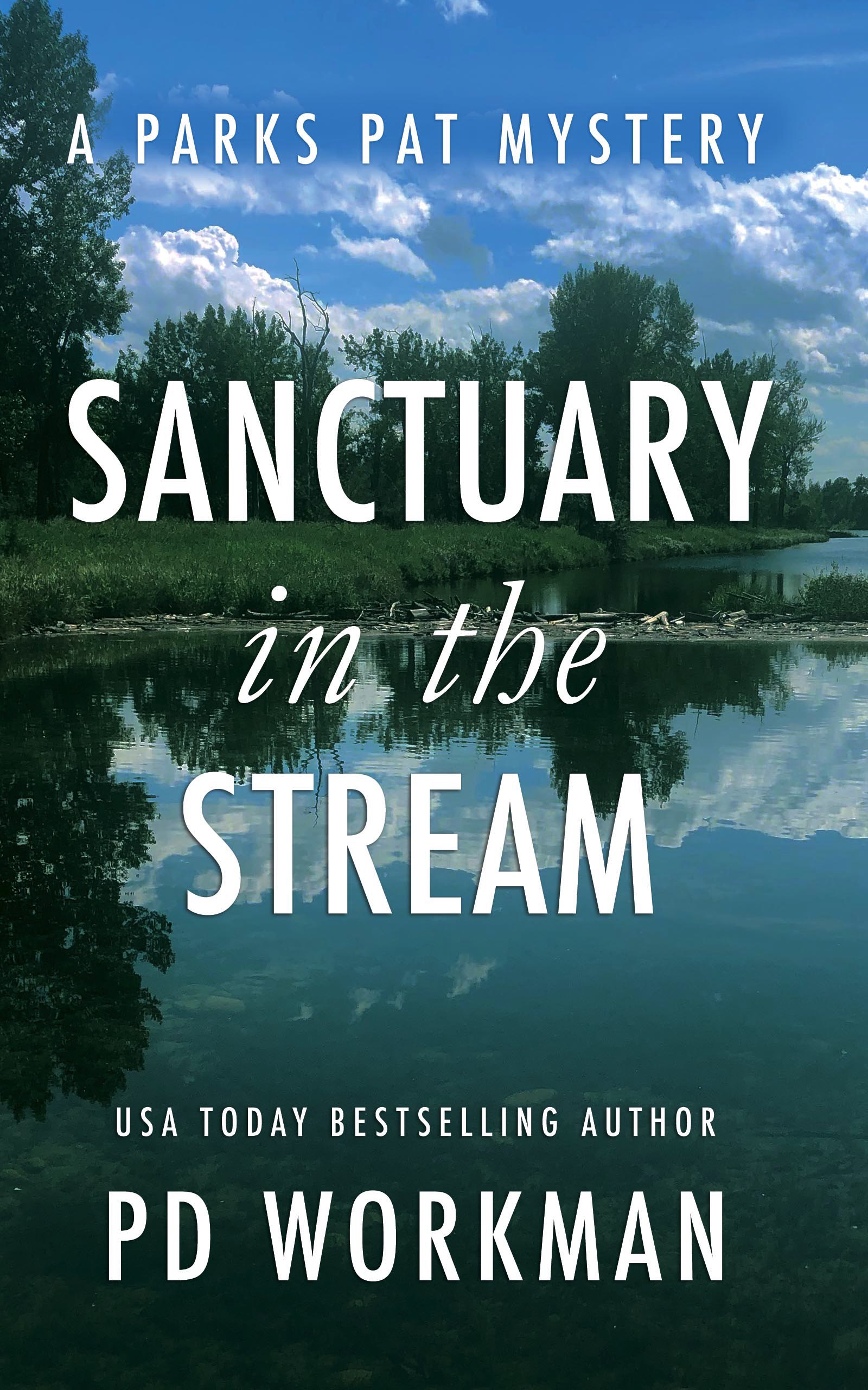 Sanctuary in the Stream book cover