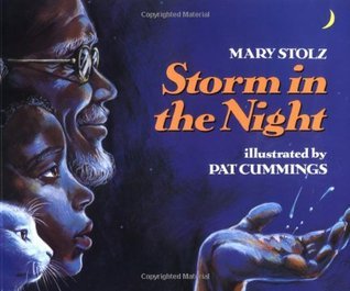 Storm in the Night book cover