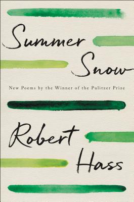 Summer Snow book cover