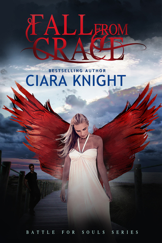 Battle for Souls book cover 2