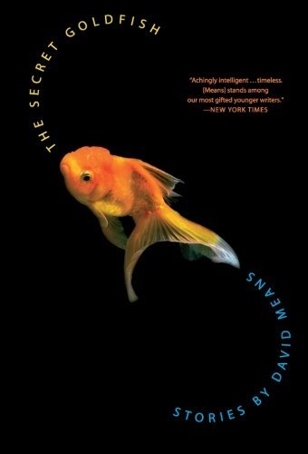 The Secret Goldfish book cover