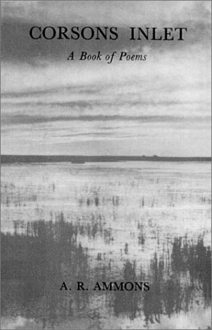 Corsons Inlet book cover