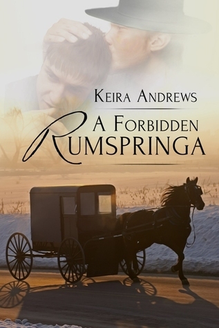 Gay Amish Romance book cover 1