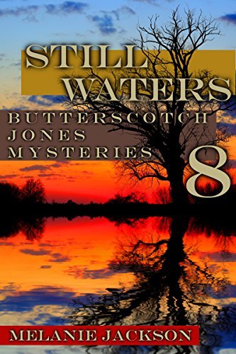 Still Waters book cover