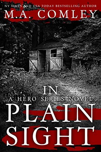 Hero book cover 3