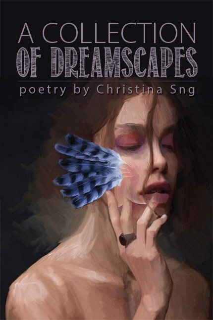 A Collection of Dreamscapes book cover