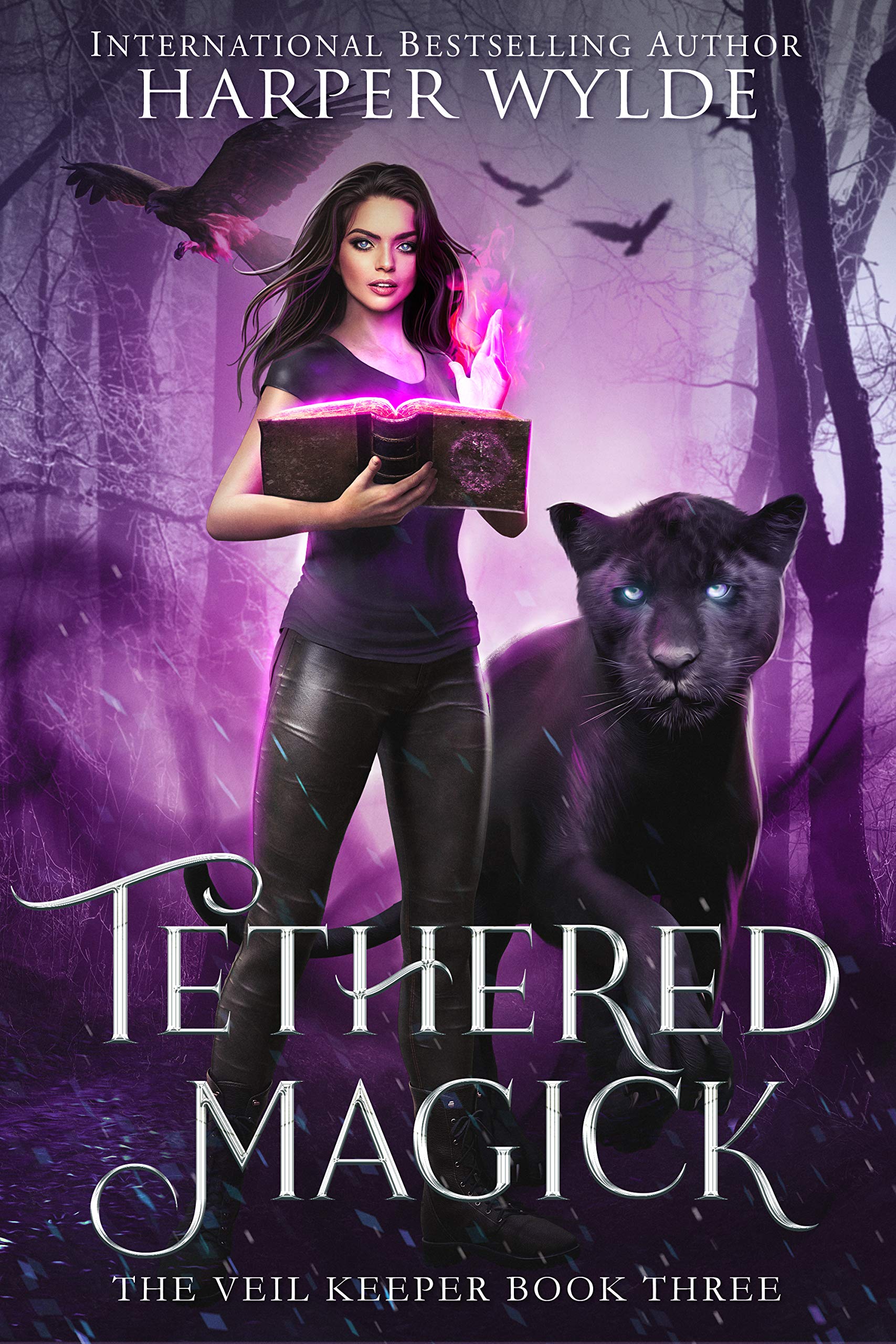 The Veil Keeper book cover 3