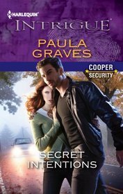 Secret Intentions book cover