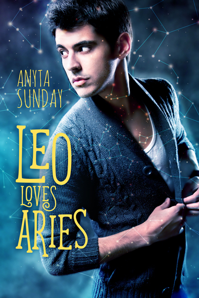 Signs of Love book cover 1