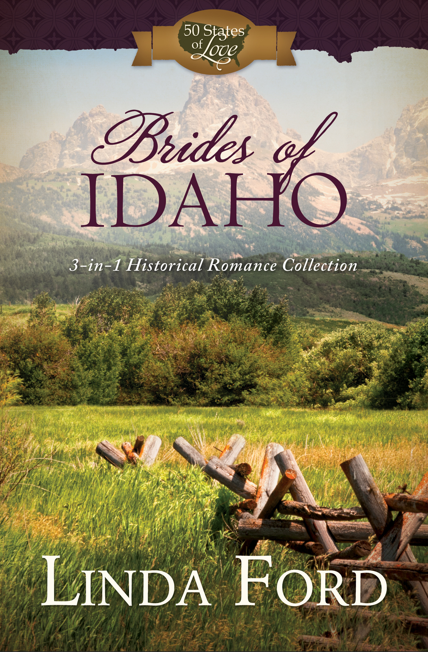 Brides of Idaho book cover