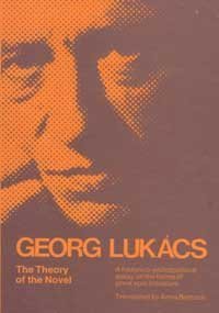 The Theory of the Novel book cover
