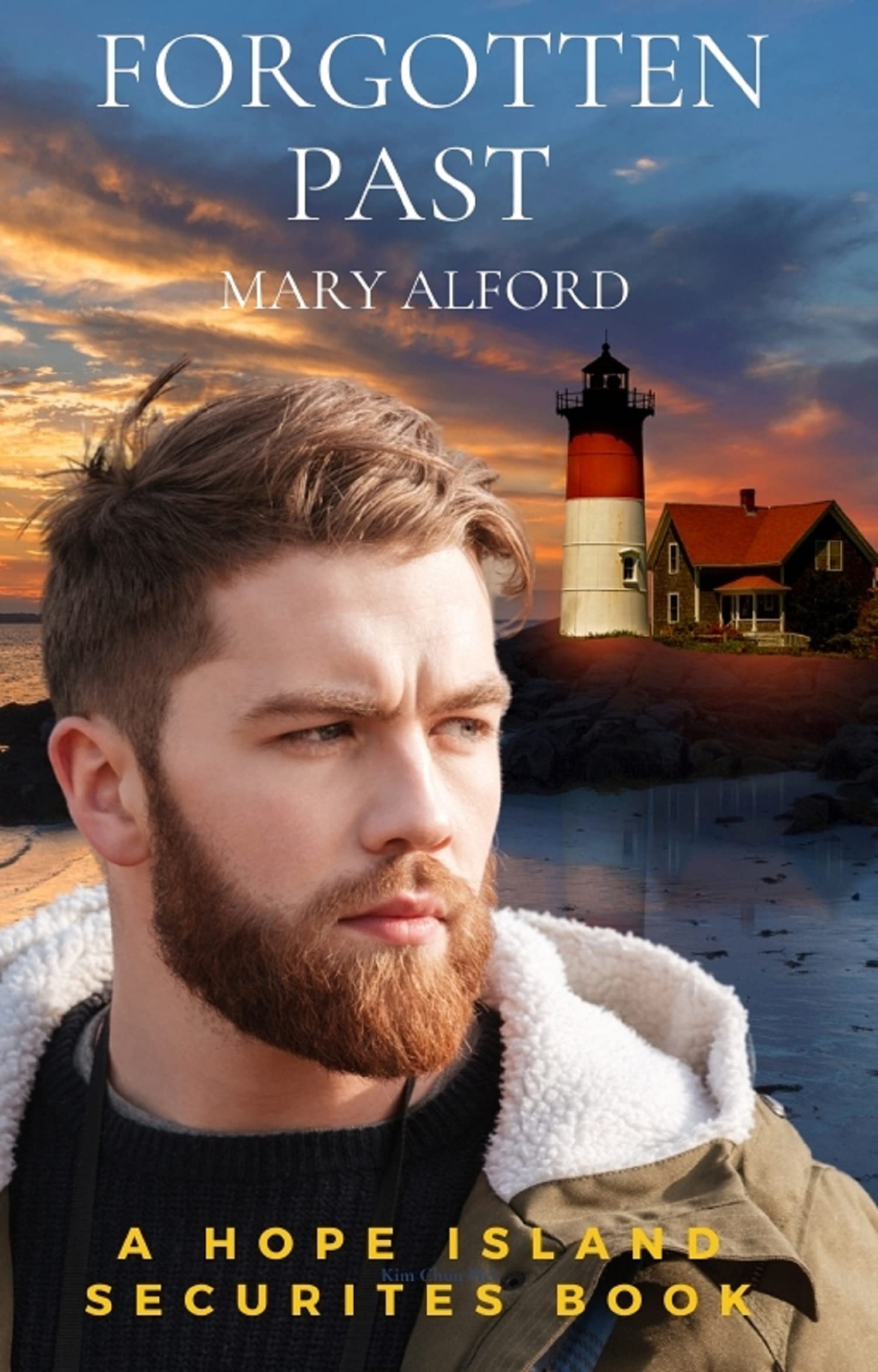 Hope Island Securities book cover 1