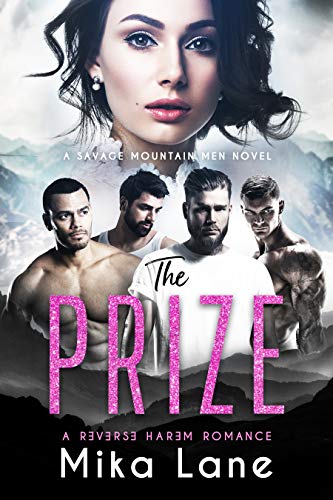 The Prize book cover