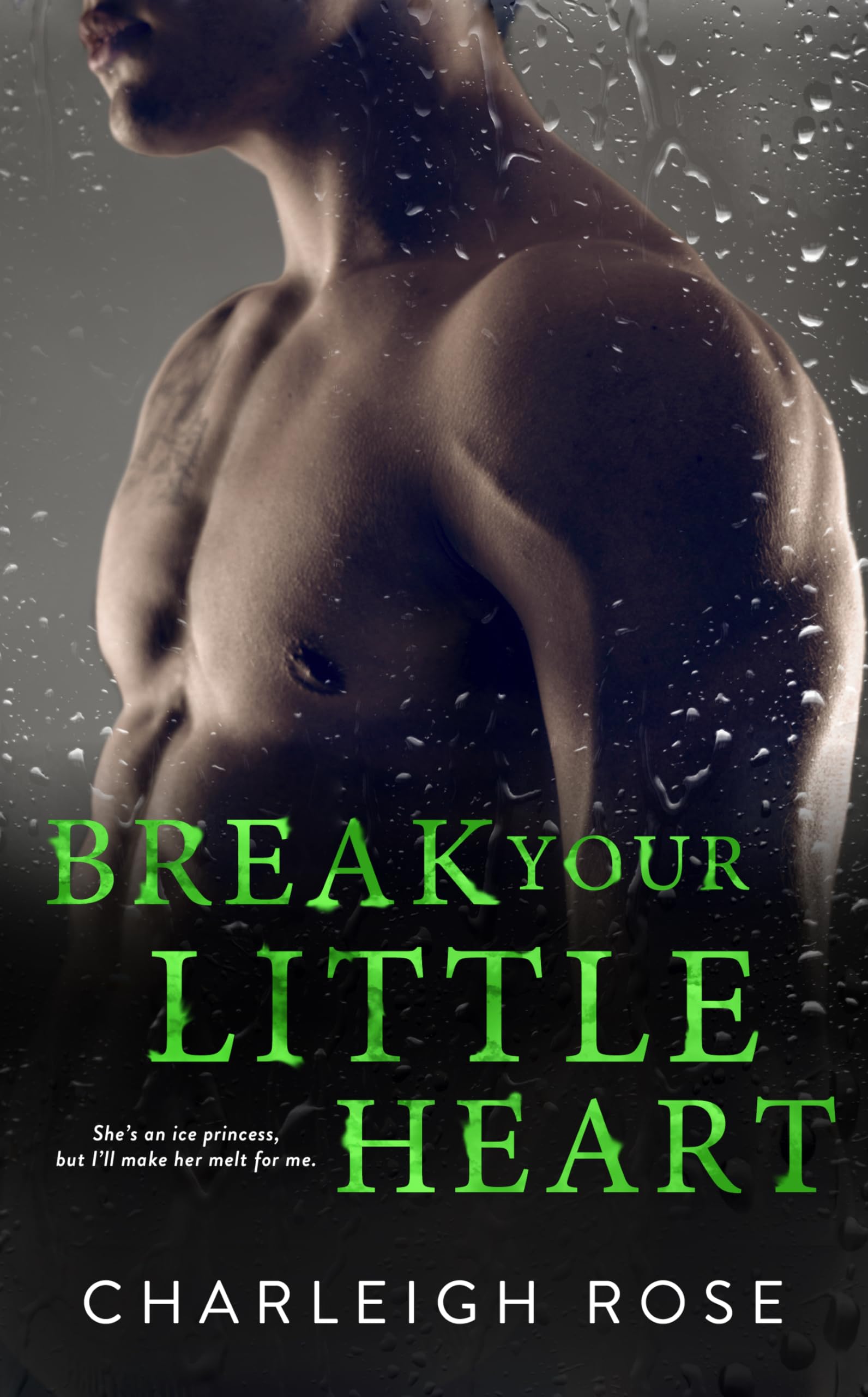 Break Your Little Heart book cover