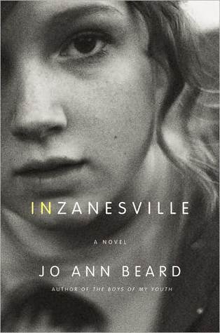 In Zanesville book cover