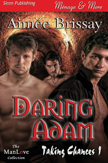 Taking Chances book cover 1