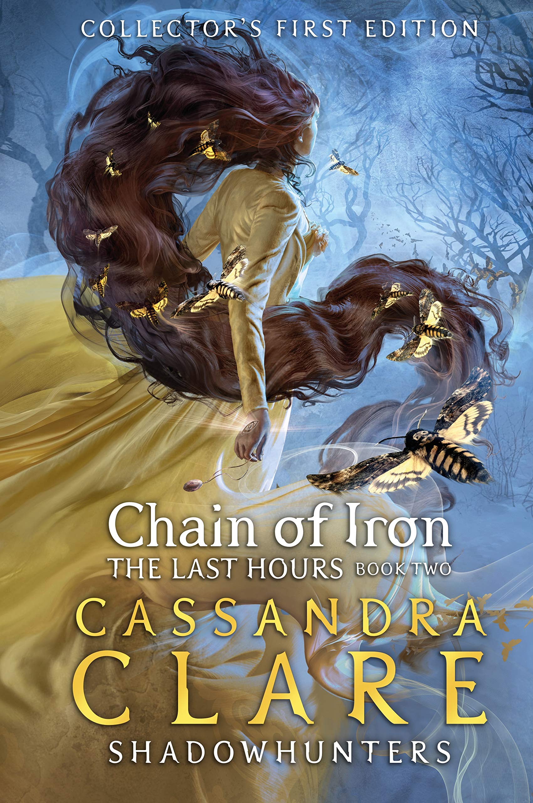 The Last Hours book cover 2