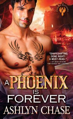 Phoenix Brothers book cover 3