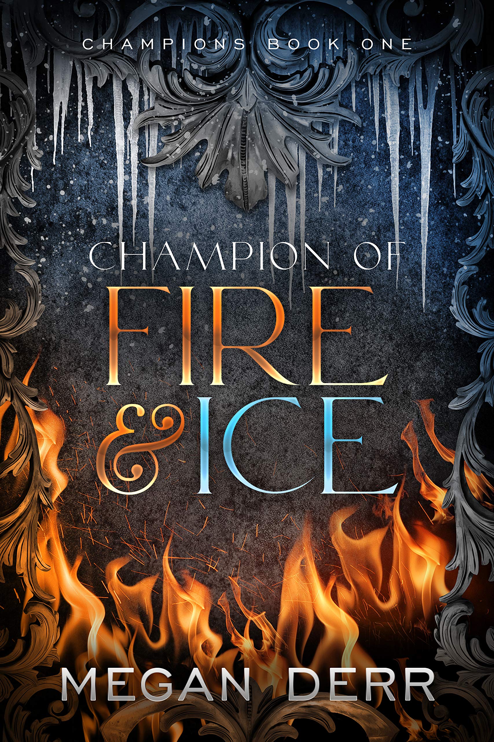 Champions book cover 1