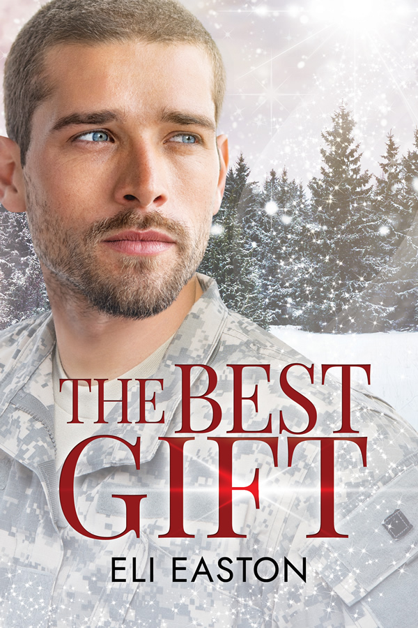 The Best Gift book cover