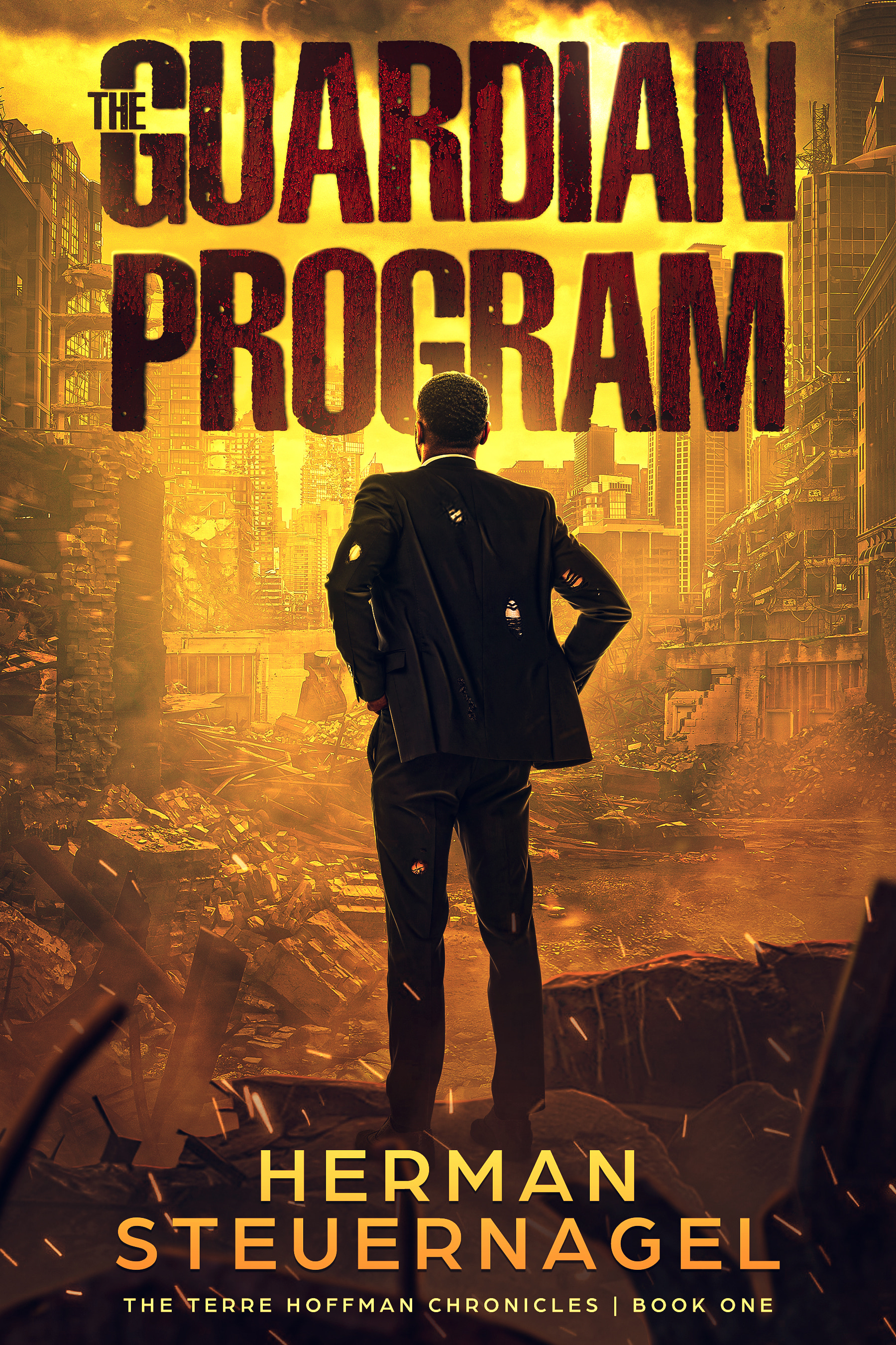 The Terre Hoffman Chronicles book cover 1
